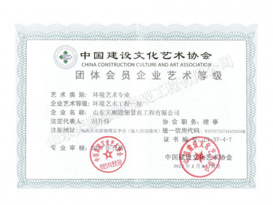 環(huán)境藝術(shù)企業(yè)藝術(shù)等級(jí)證書