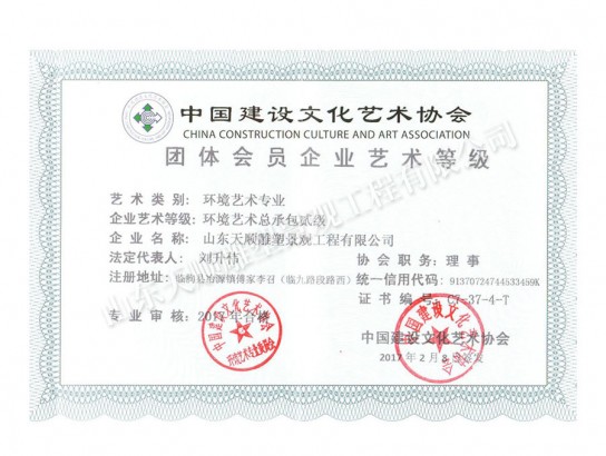 環(huán)境藝術(shù)企業(yè)藝術(shù)等級(jí)證書